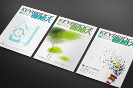 深圳画册设计公司 从创意设计到精美印刷的全流程探索